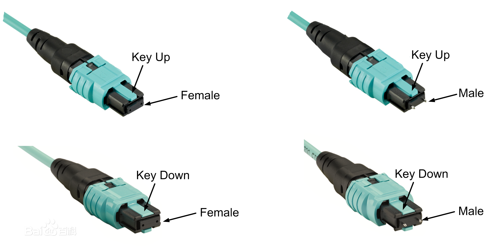 MPO_male_female.png