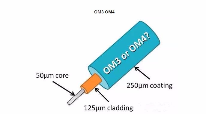 OM3_OM4.jpg